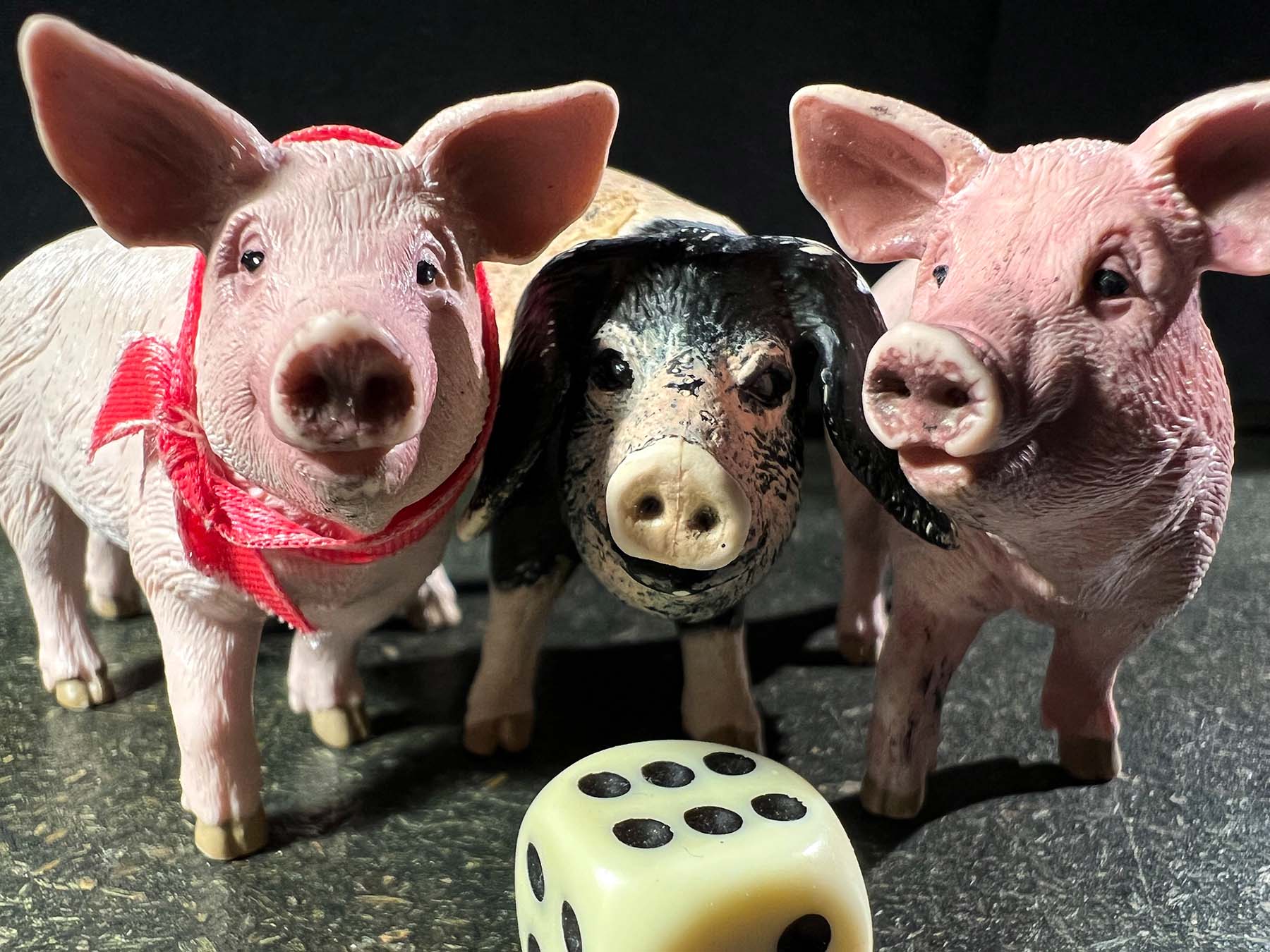 Kulturkreis Windisch präsentiert für die Kleinen - Die drei kleinen Schweinchen